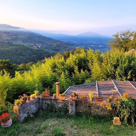 Agriturismo I Pitti Serravalle Pistoiese Zewnętrze zdjęcie