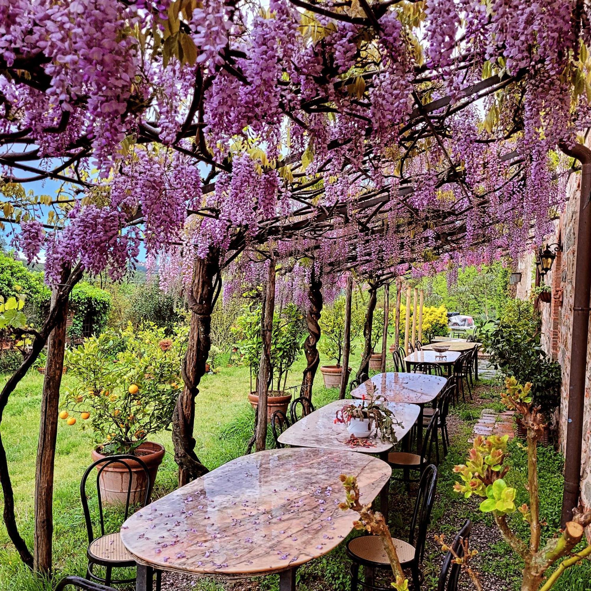 Agriturismo I Pitti Serravalle Pistoiese Zewnętrze zdjęcie