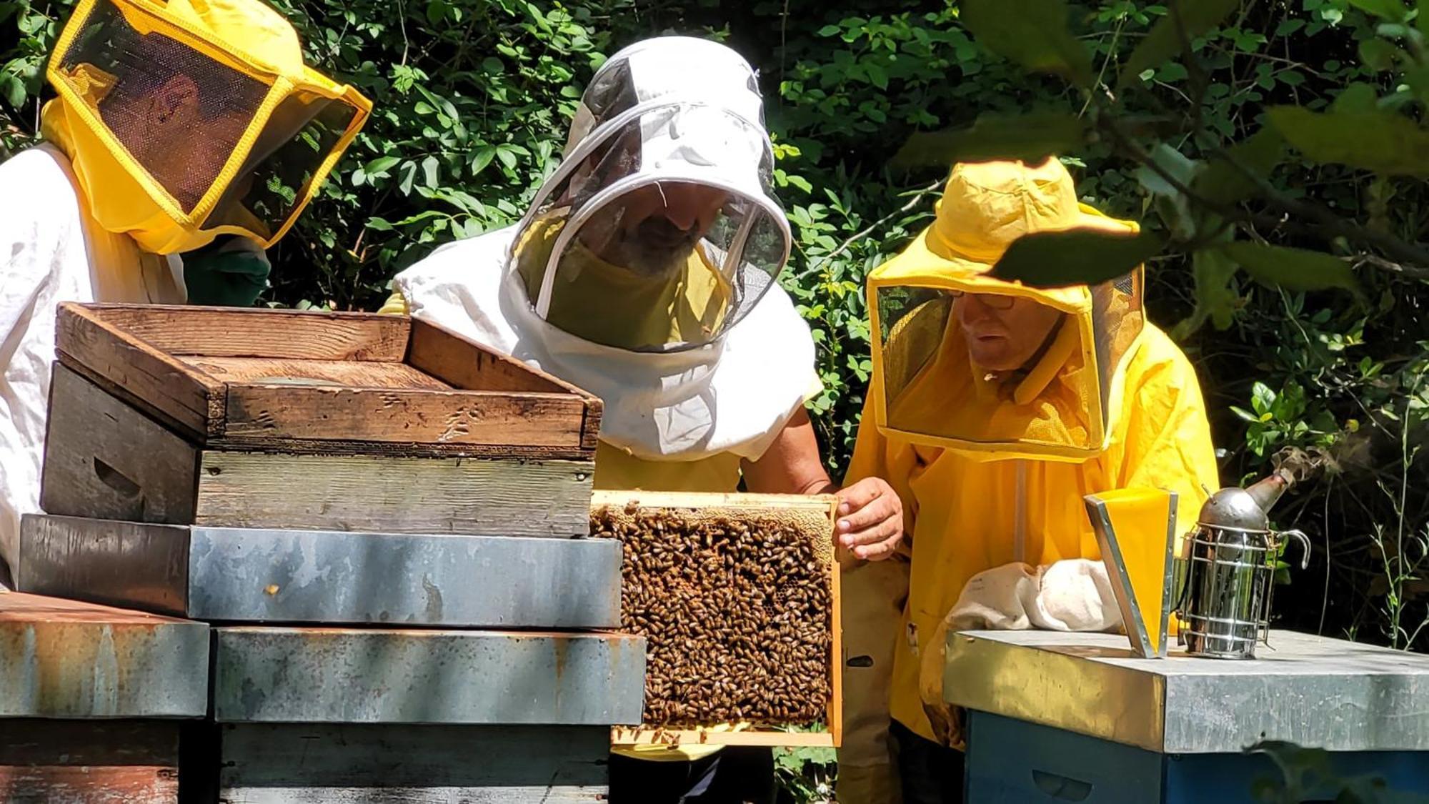 Agriturismo I Pitti Serravalle Pistoiese Zewnętrze zdjęcie