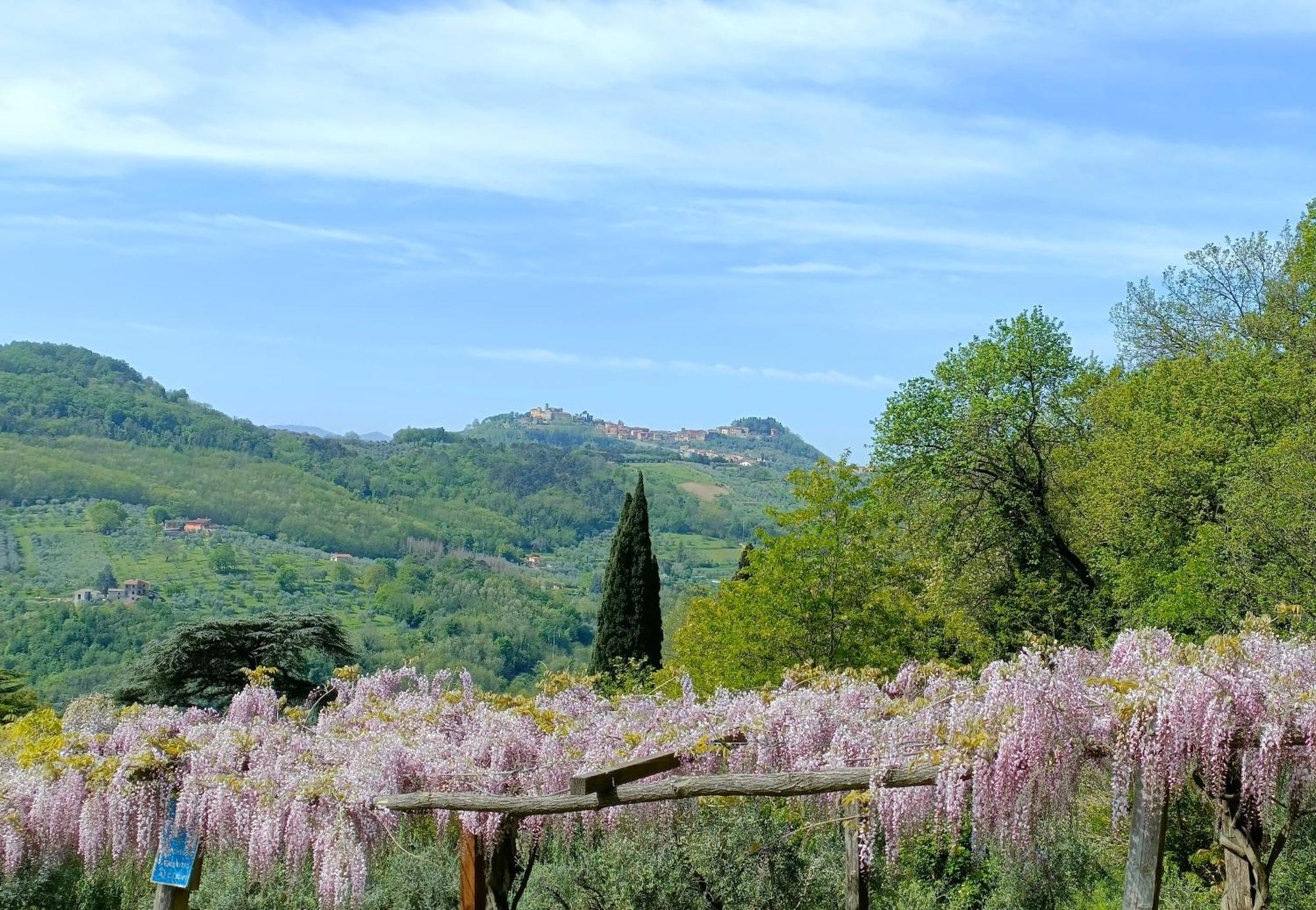 Agriturismo I Pitti Serravalle Pistoiese Zewnętrze zdjęcie