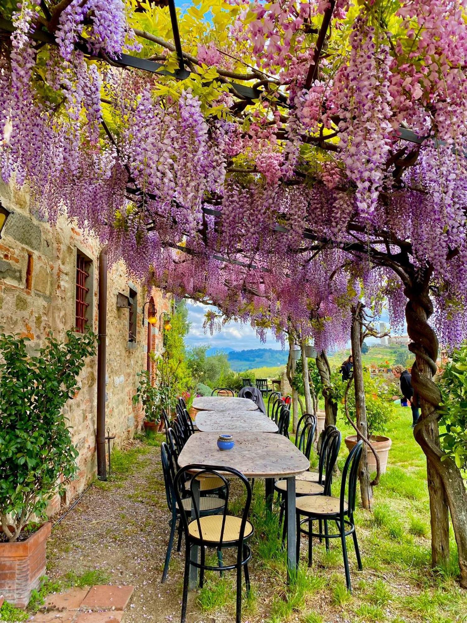 Agriturismo I Pitti Serravalle Pistoiese Zewnętrze zdjęcie