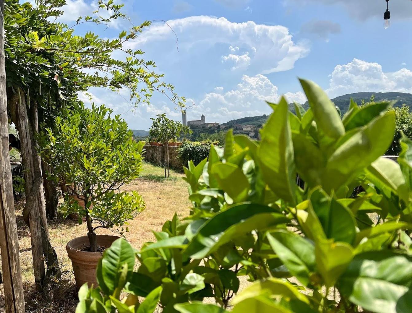 Agriturismo I Pitti Serravalle Pistoiese Zewnętrze zdjęcie